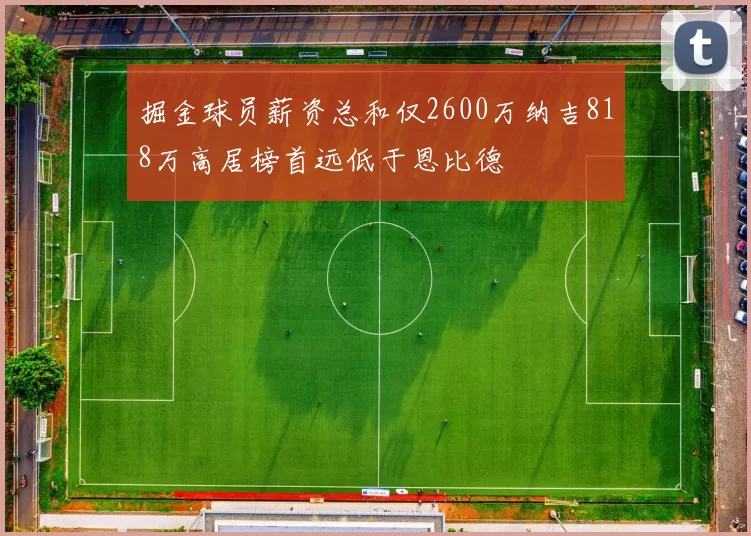 掘金球员薪资总和仅2600万纳吉818万高居榜首远低于恩比德